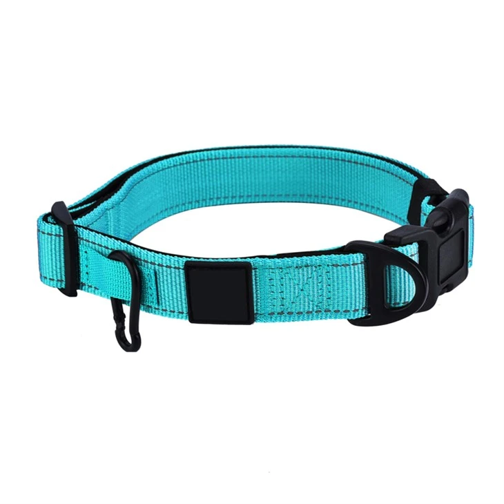 Green Dog Collar