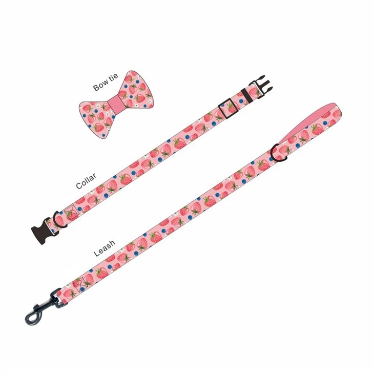 Stylish Pet Harness Set best